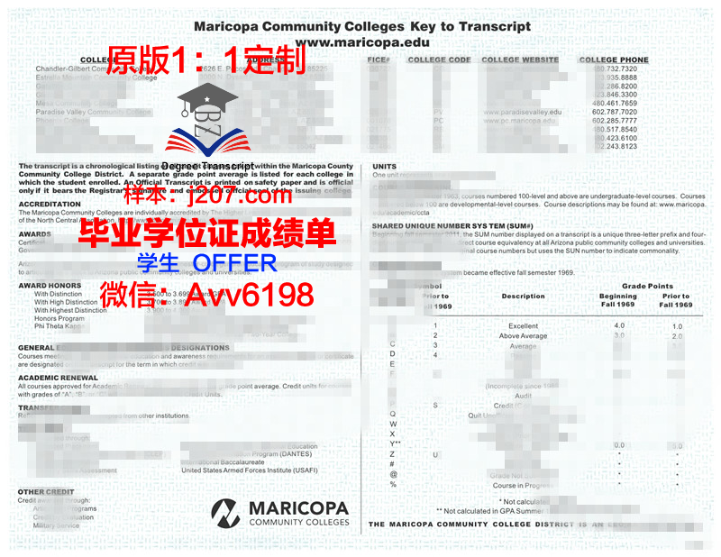 马里乌波尔国立人文大学硕士毕业证书样本