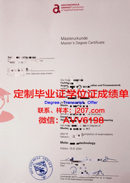 沃尔姆斯应用技术大学毕业证书图片模板(沃尔姆教育)