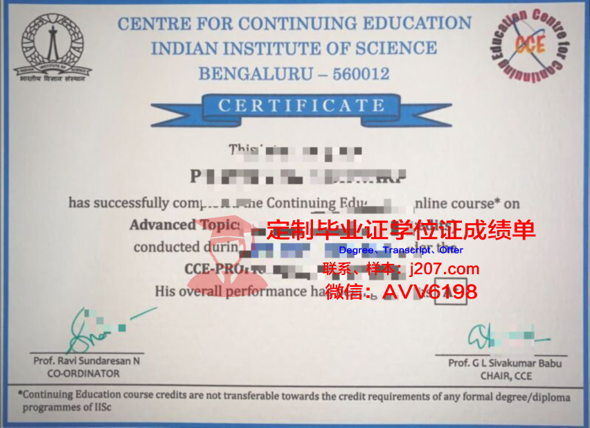阿兰努斯艺术与社会科学学院毕业证书
