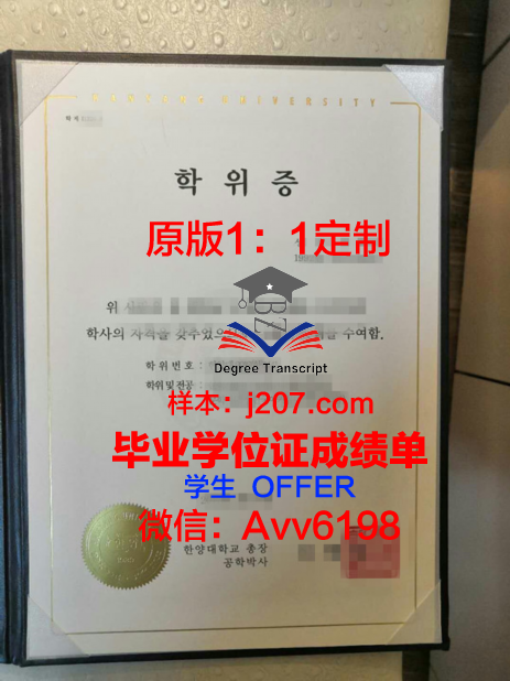 汉阳大学本科毕业证(汉阳大学安山校区毕业证)