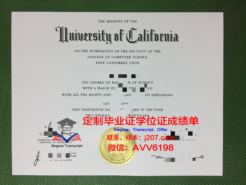 江户川大学博士毕业证：一份跨越时空的学术荣耀
