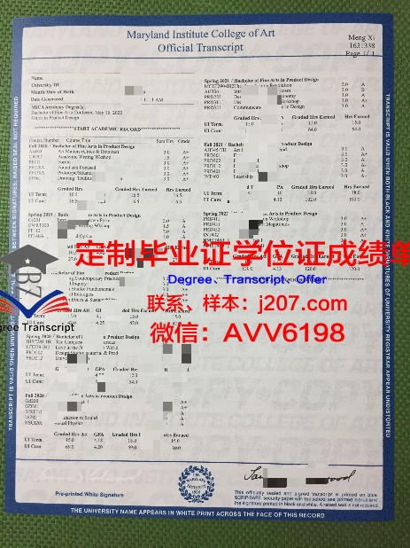 马里兰艺术学院毕业文凭