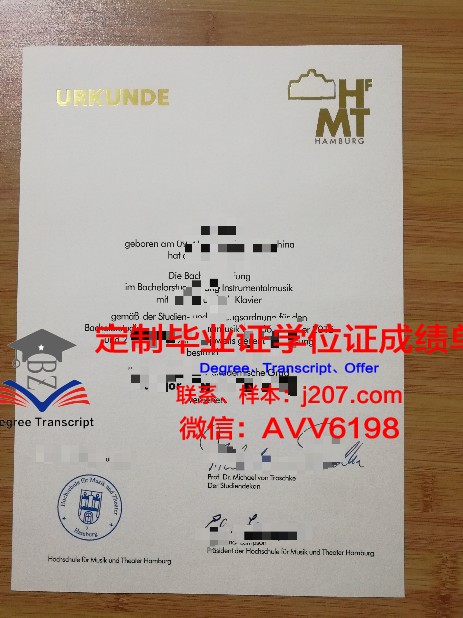 汉堡大学毕业学位