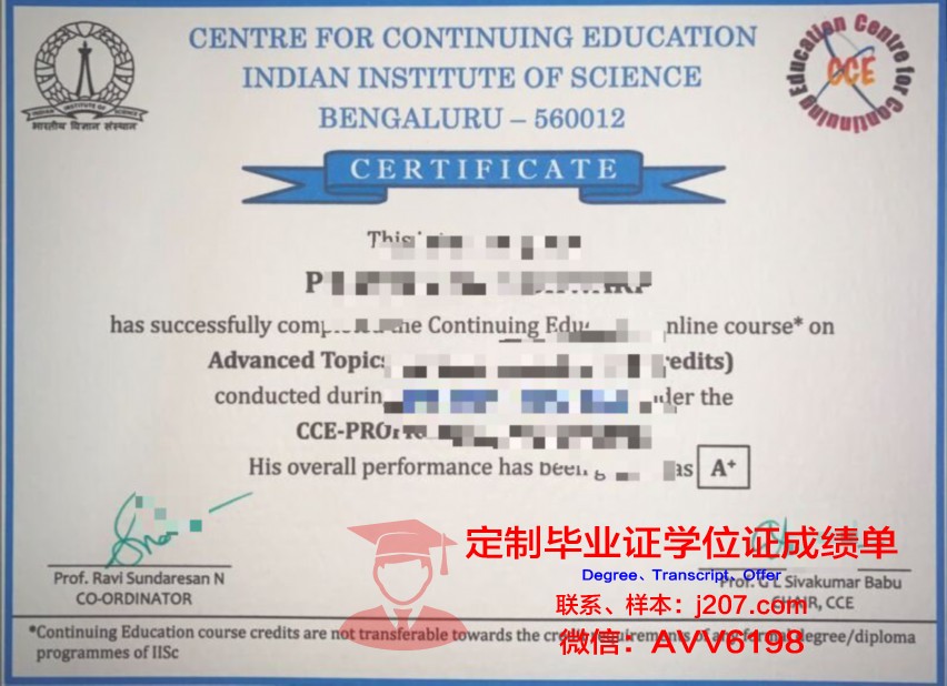 阿兰努斯艺术与社会科学学院毕业证书