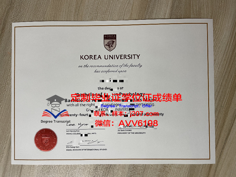 高丽大学硕士毕业学士服(高丽大学世宗校区毕业证)