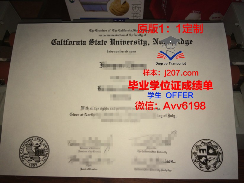 罗巴切夫斯基州立大学毕业证是什么样子(罗巴切夫斯基几何定理)
