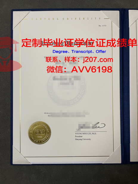 汉阳大学毕业证代领要多久(汉阳大学erica校区毕业证)
