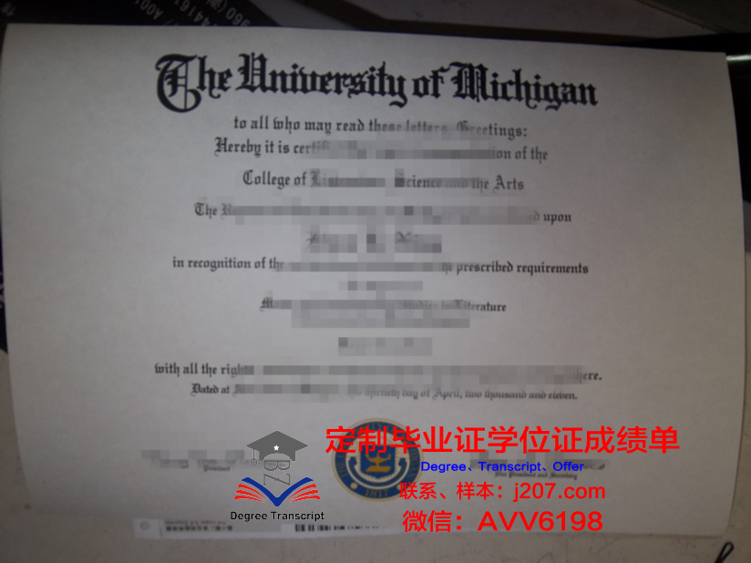 沃罗涅日国立师范大学硕士毕业证：跨越国界的学术荣耀