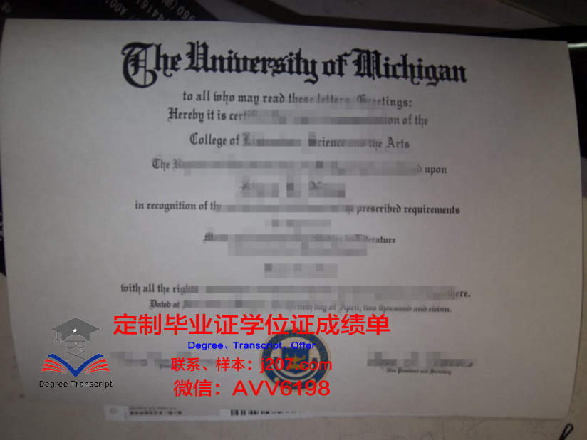 罗塔克马哈希达亚南德大学博士毕业证：一张通往知识巅峰的通行证