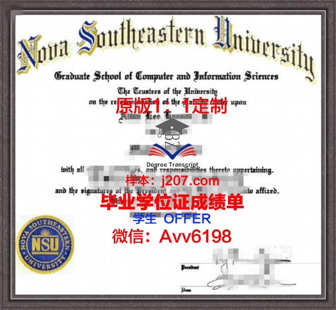 江陵岭东大学毕业证书(东南大学毕业证书)