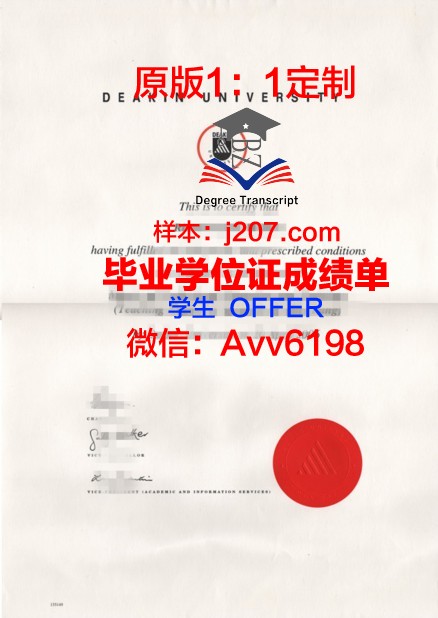 汉恩大学毕业文凭