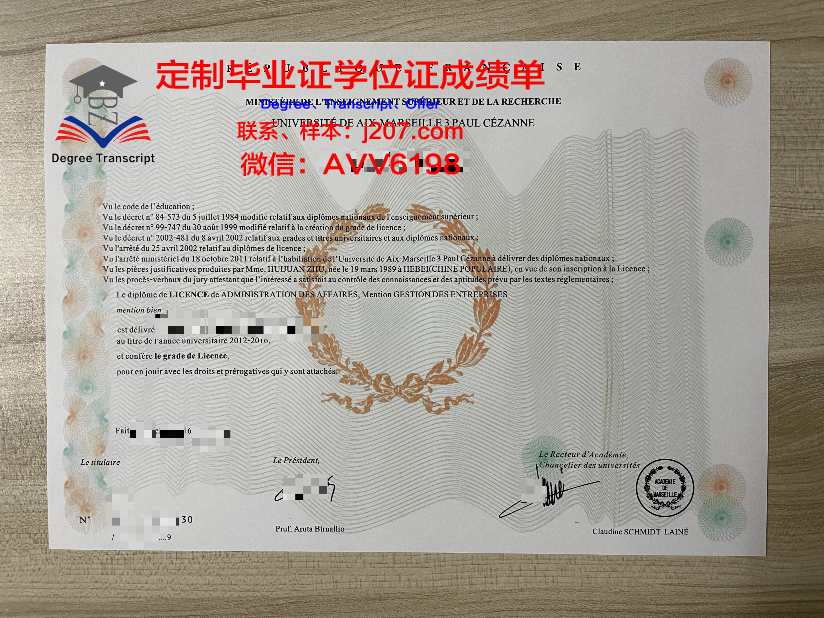 马赛中央理工学院毕业证图片(马赛中央理工大学)