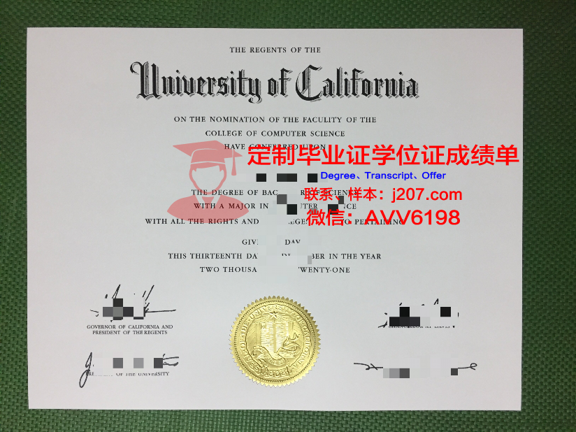 阿列赫姆国立大学毕业证成绩单：一张纸的重量与价值