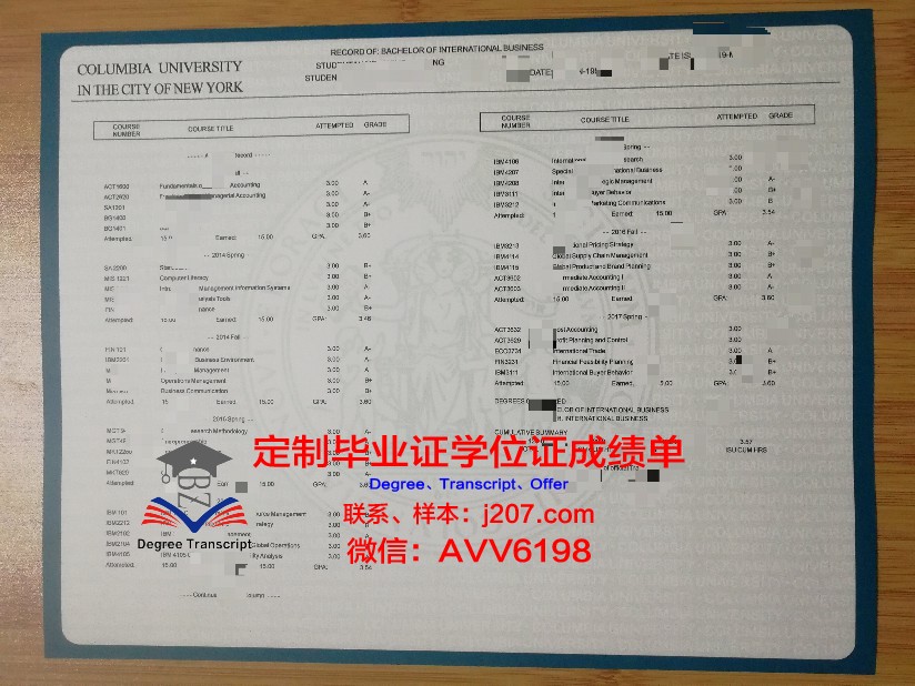 美因茨应用技术大学成绩单