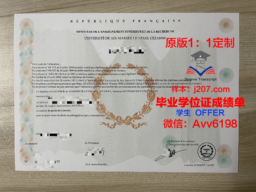 马赛中央理工学院毕业证图片(马赛中央理工大学)