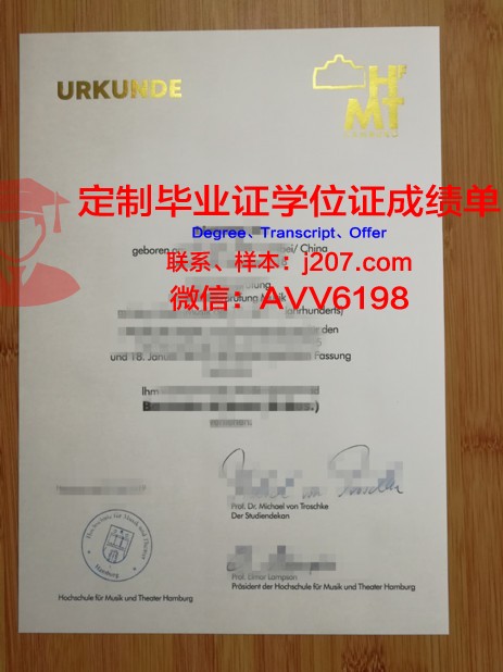 汉堡造型艺术学院毕业证：承载荣誉与梦想的证书