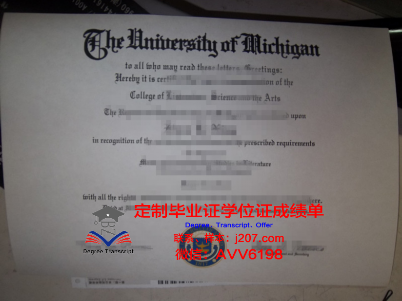 汉恩大学本科毕业证 HAN University of Applied Sciences diploma
