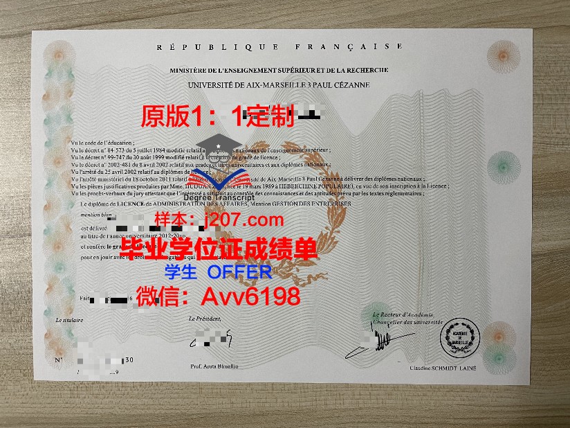 马赛中央理工学院毕业证什么样子(法国马赛中央理工大学怎么样)