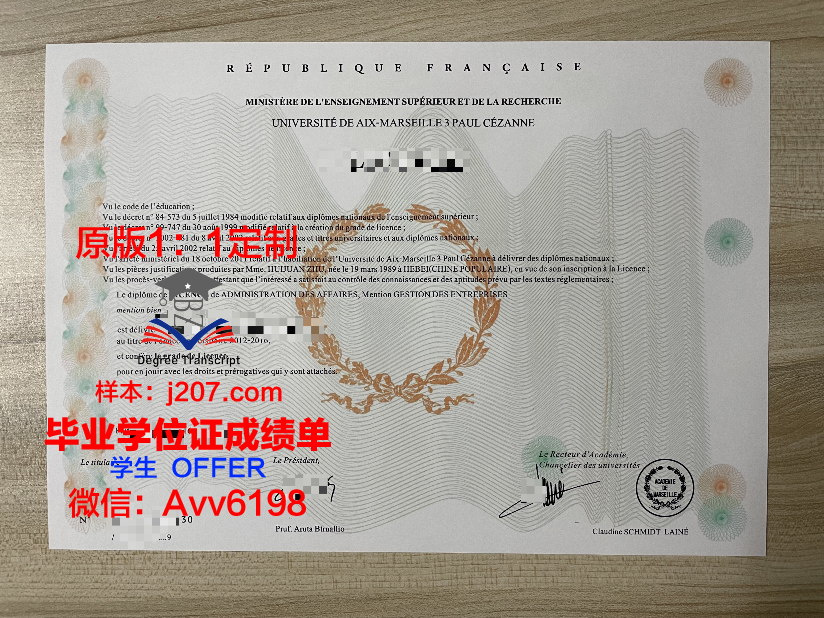 马赛中央理工学院的毕业证啥样(马赛中央理工大学)
