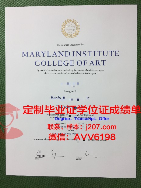 高等应用艺术学院本科毕业证：开启艺术人生的新篇章