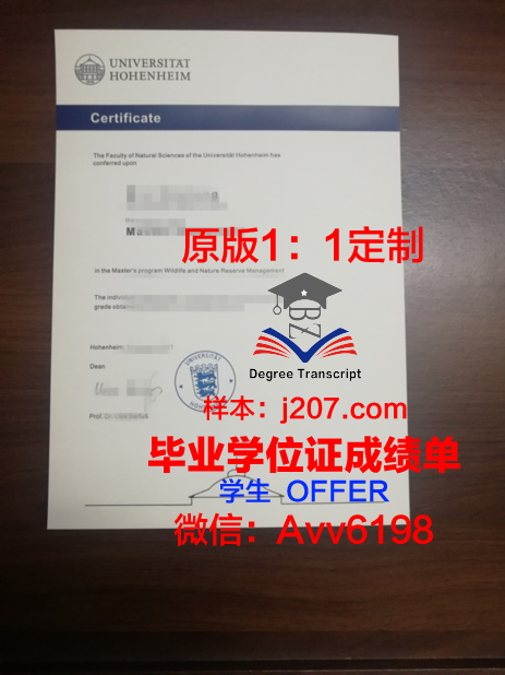 罗森海姆应用技术大学毕业证成绩单
