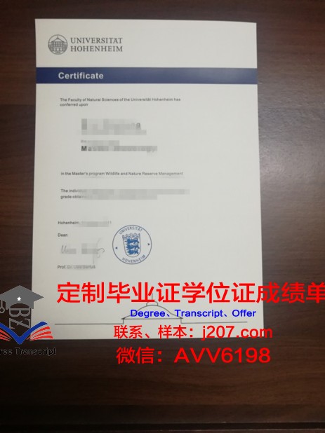 罗森海姆应用技术大学毕业证是什么样子(德国罗森海姆门窗幕墙研究院)