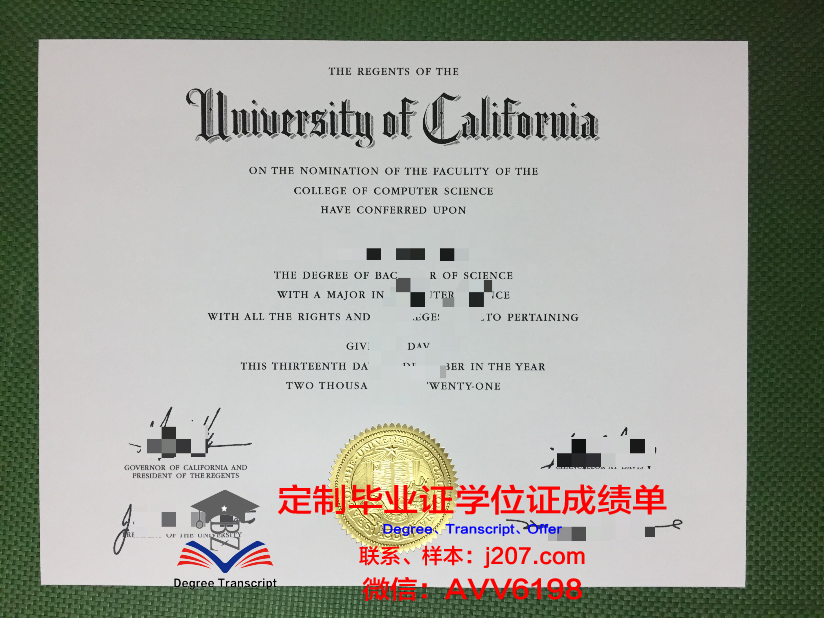 阿姆里塔威施瓦威达匹萨姆大学博士毕业证：一份荣耀的证明