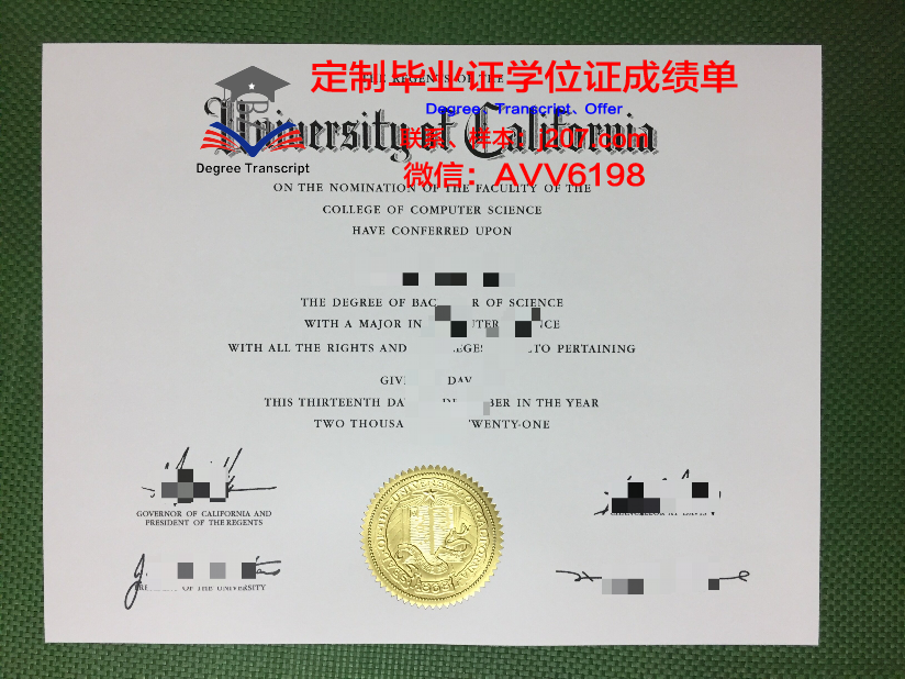 阿尔比-加莫国立高等矿业学院毕业证案例(阿尔比矿业大学)