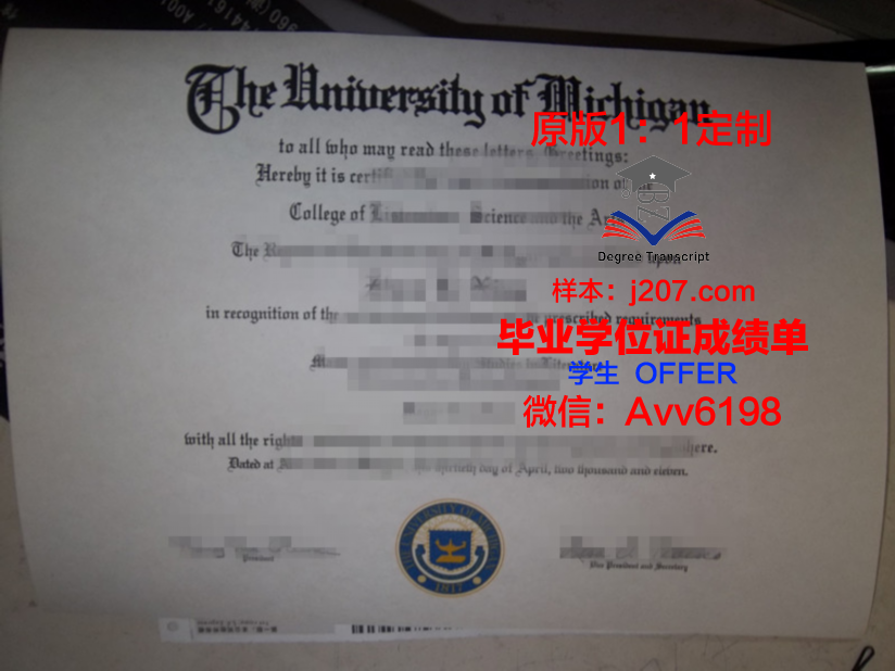 高中毕业证图片真实
