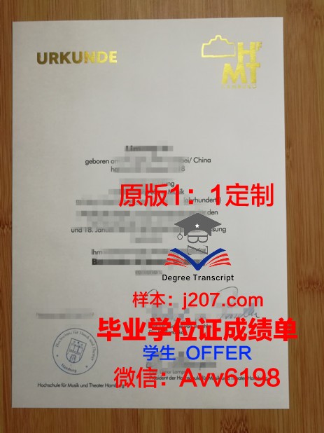 汉堡造型艺术学院毕业证定制：传承匠心，铭记荣誉