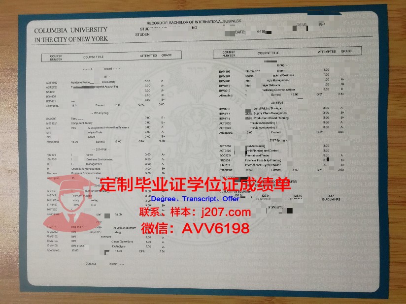 高师学位成绩单定制：开启个性化教育新篇章
