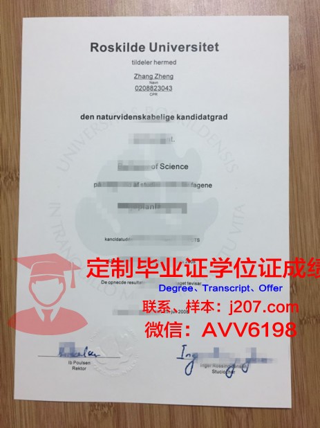 罗斯基勒大学证书成绩单(罗斯基勒主教座堂)