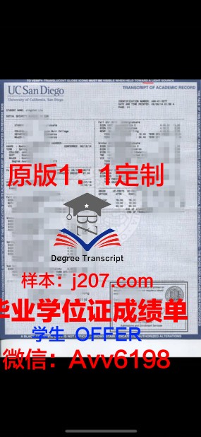 阳光海岸大学学位成绩单定制：诚信与责任的反思