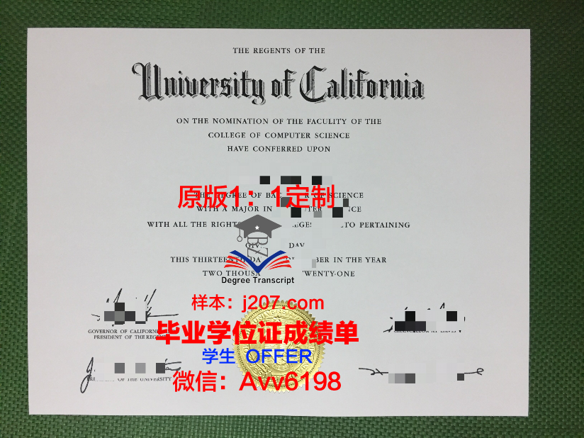 沃罗涅日国立大学硕士毕业证：一份跨越时空的荣誉
