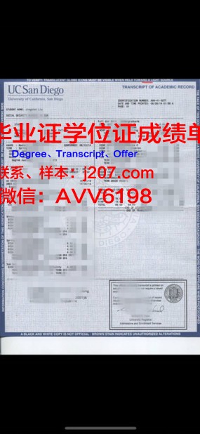 沃特伯格学院成绩单：展现学子风貌，彰显教育品质