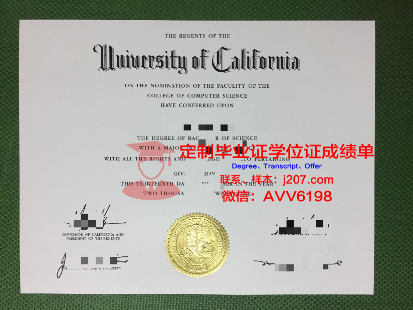 罗塔克马哈希达亚南德大学博士毕业证：一张通往知识巅峰的通行证
