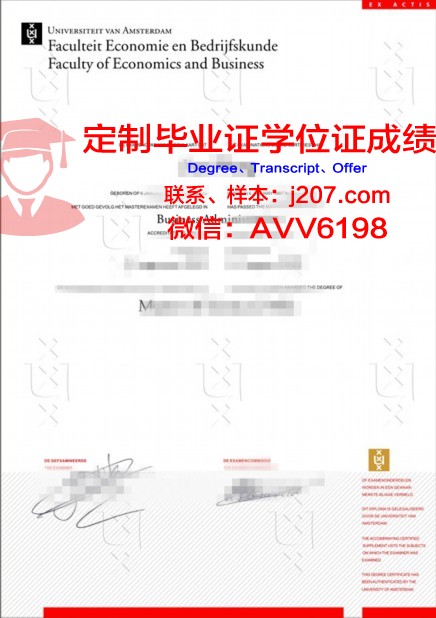 阿姆斯特丹自由大学成绩单