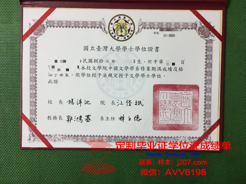 罗斯托夫国立经济大学硕士毕业证书样本(俄罗斯罗斯托夫国立经济大学)