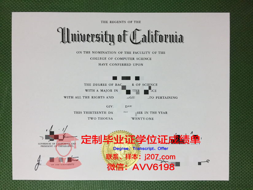 高布林图像学院本科毕业证