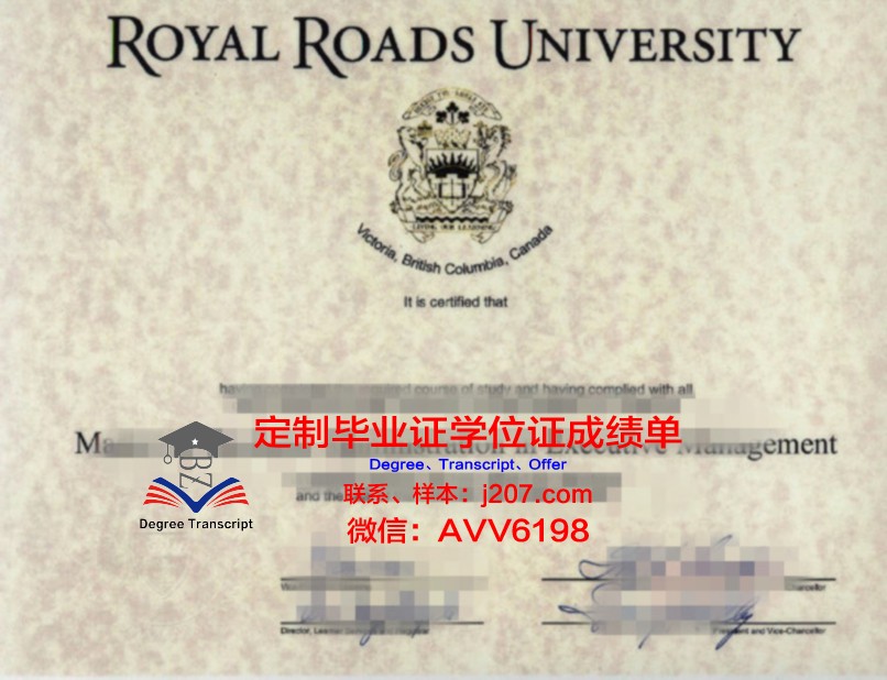 沙东工作室学位证书(沙东工作室学位证书查询)