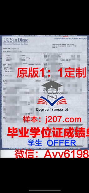 高等电力学院学位成绩单定制：为学生量身打造专属学术名片