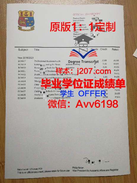 罗斯托夫国立经济大学硕士毕业证书样本(俄罗斯罗斯托夫国立经济大学)