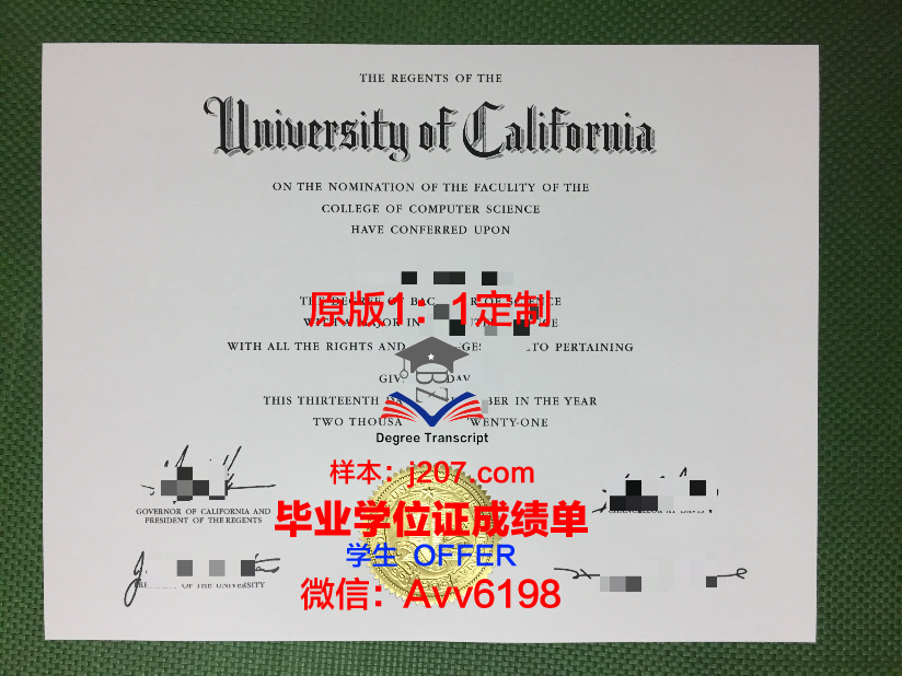 高等传播与营销学院毕业证是什么样子(传播与营销专业)