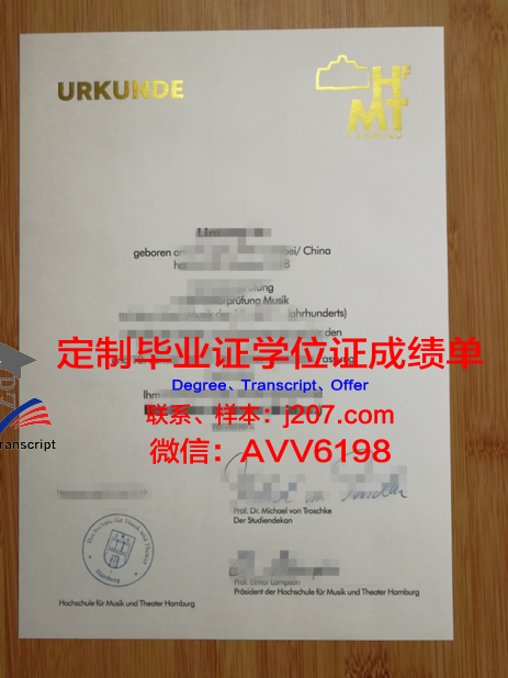 汉堡造型艺术学院硕士毕业证(汉堡美院研究生申请要求)
