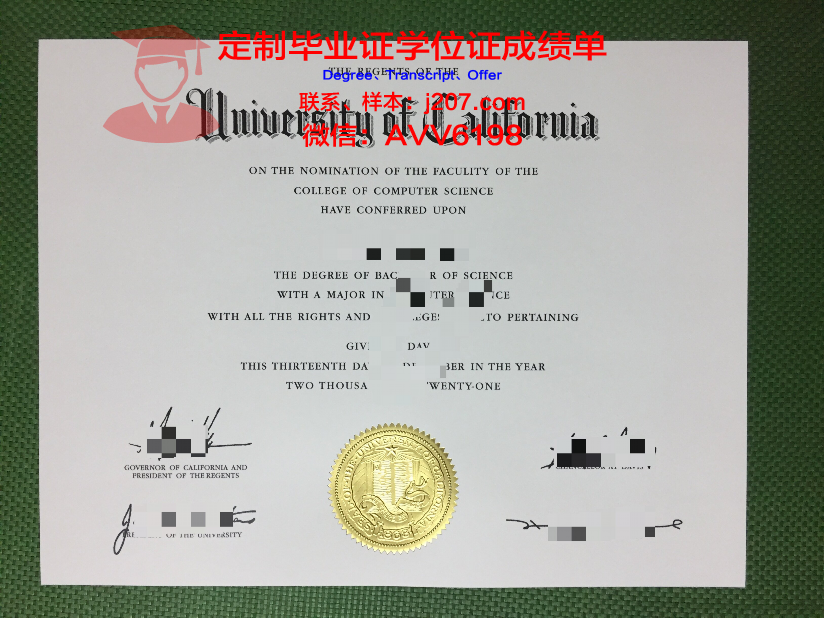 高盛学院拿不了毕业证(高盛招本科生吗)