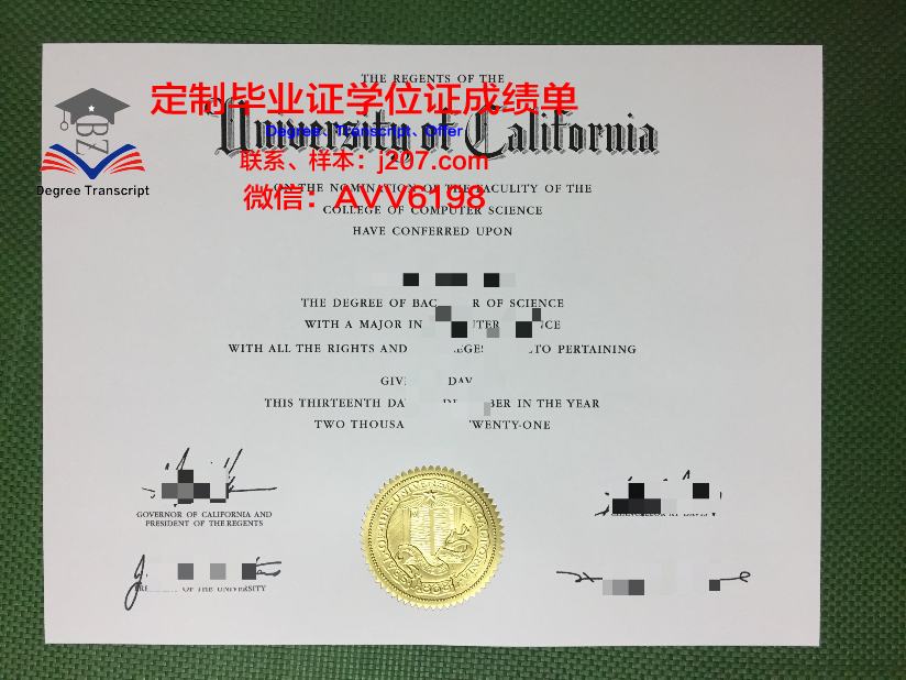 民营大学毕业证(民营大学毕业证只有十位编码)