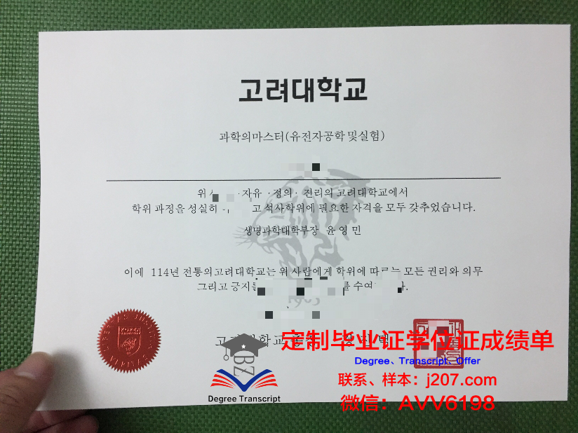 高丽大学硕士毕业学士服(高丽大学世宗校区毕业证)