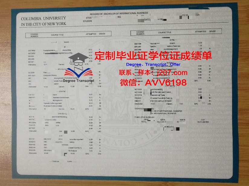 罗斯托夫国立经济大学成绩单：一份国际认可的学术成就记录