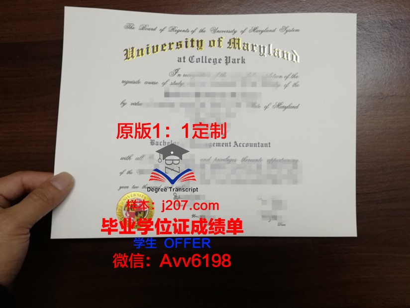 马里兰大学巴尔的摩郡分校研究生毕业证书(马里兰大学msba)