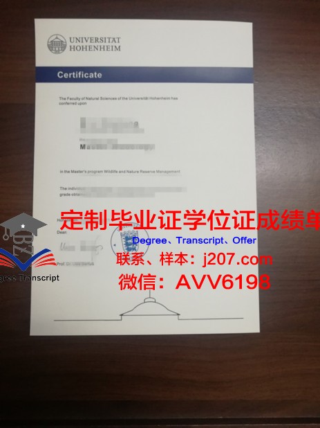 罗森海姆应用技术大学毕业证模板(德国罗森海姆应用科技大学)